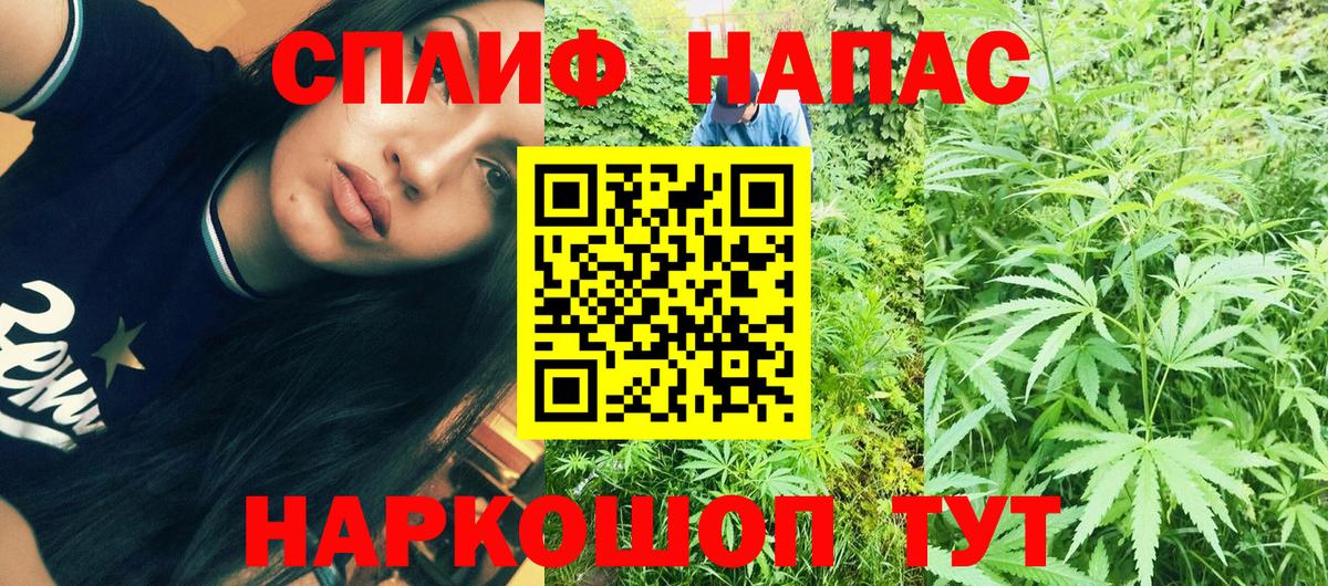 Бошки Шишки ГИДРОПОН Рязань